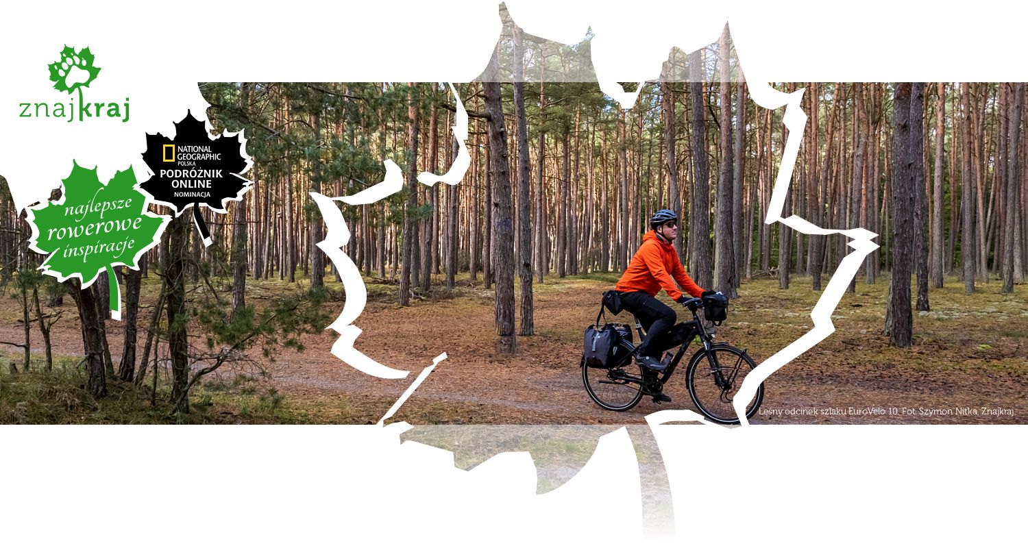 Leśny odcinek szlaku EuroVelo 10
