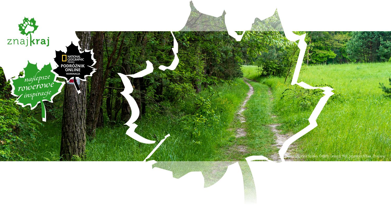Leśny odcinek Szlaku Orlich Gniazd