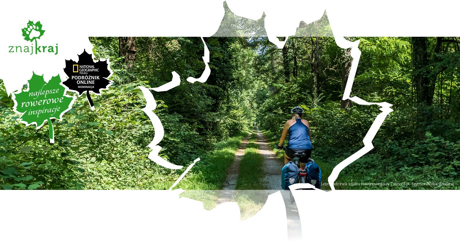 Leśny odcinek szlaku rowerowego w Ticino