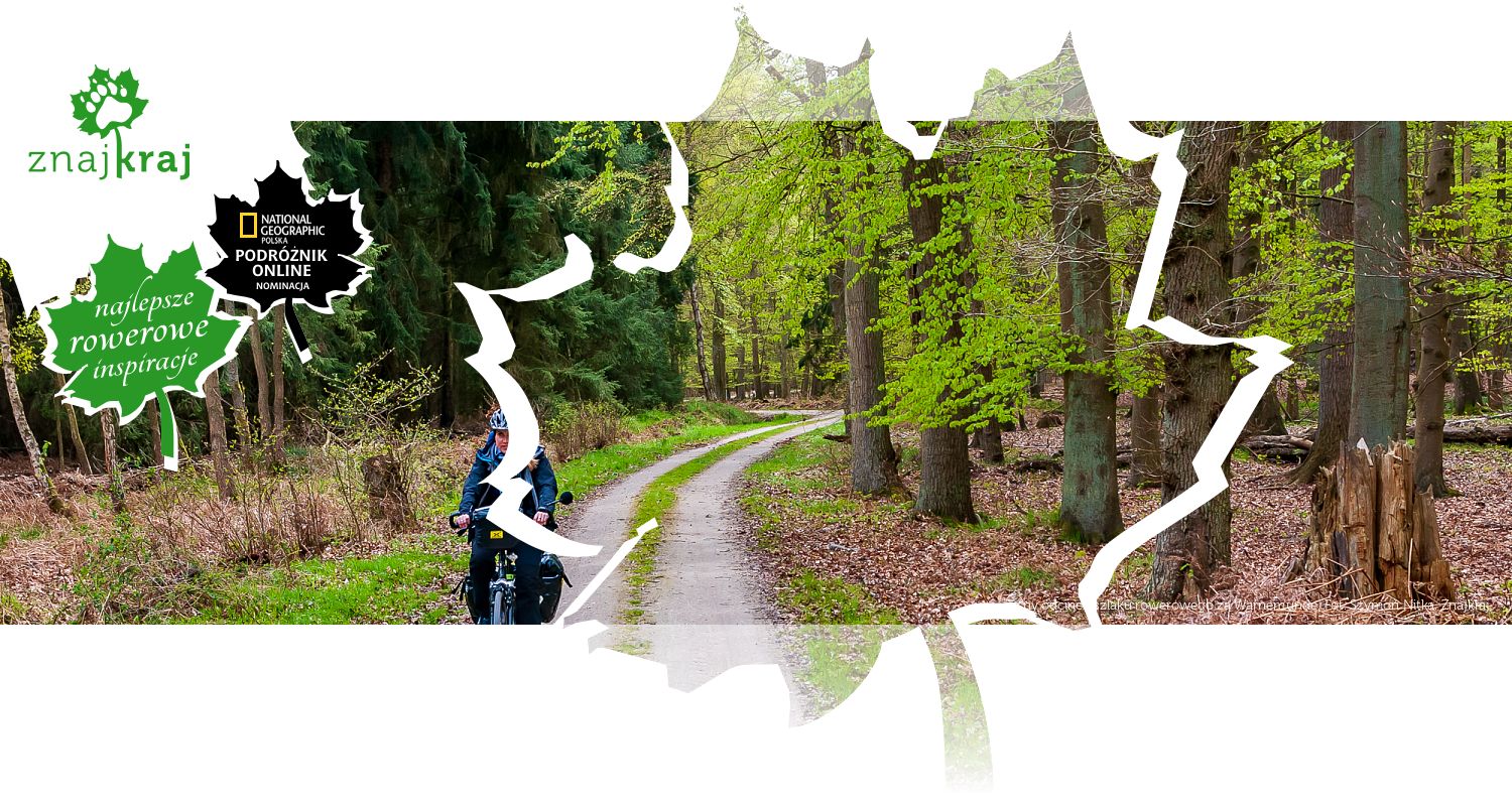 Leśny odcinek szlaku rowerowego za Warnemünde