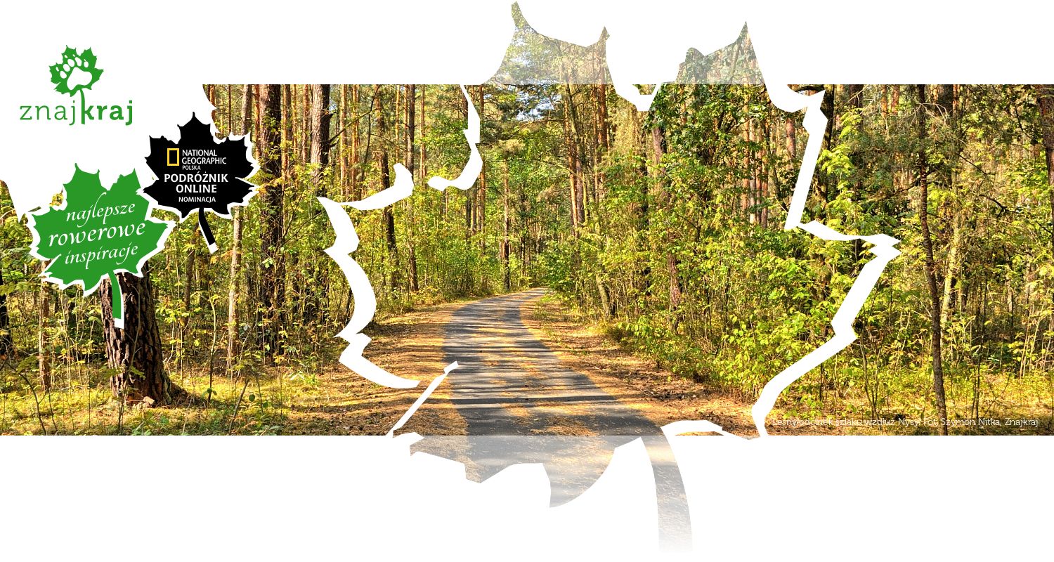 Leśny odcinek szlaku wzdłuż Nysy