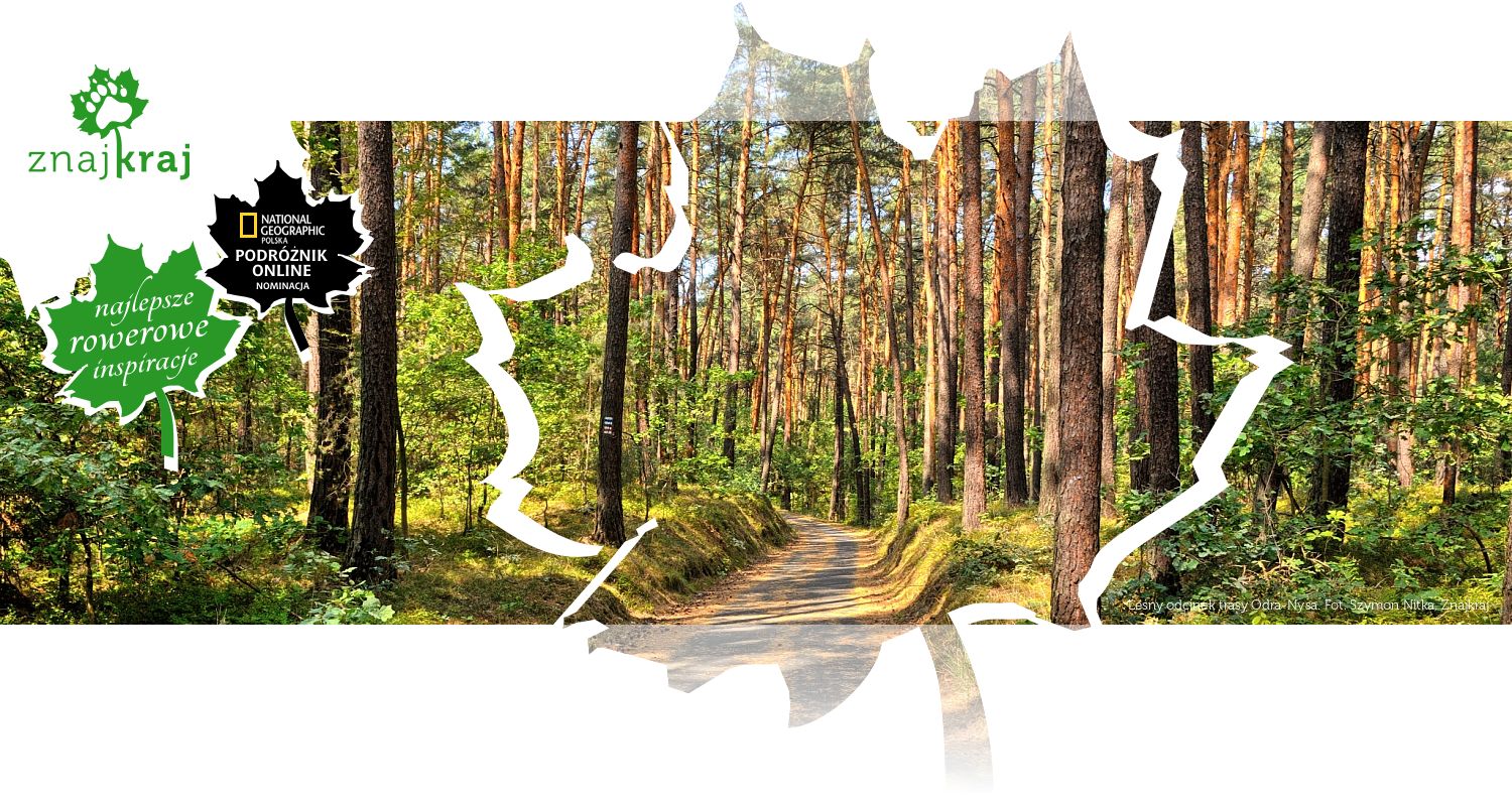 Leśny odcinek trasy Odra-Nysa