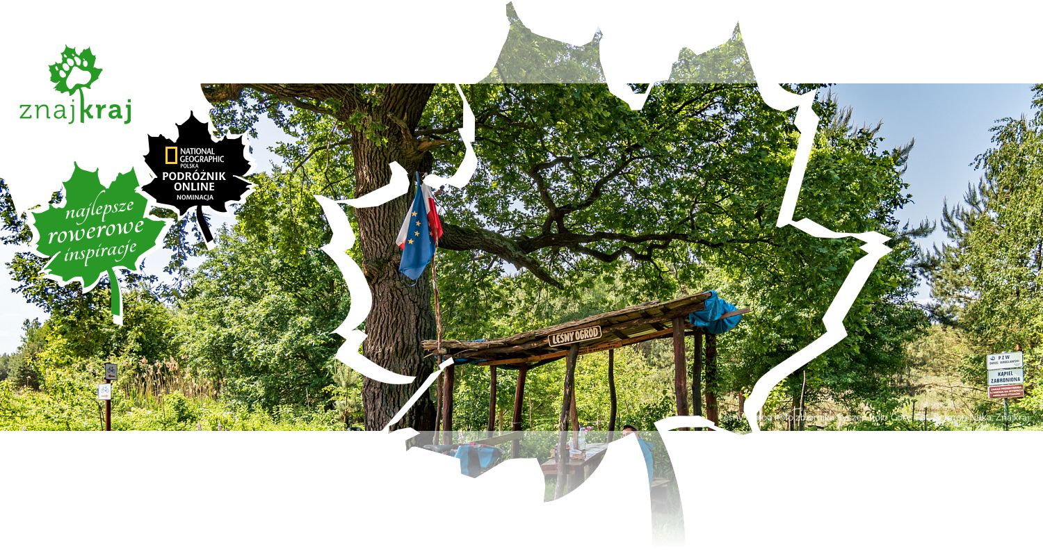 Leśny Ogród koło zbiornika Ryczeń koło Góry