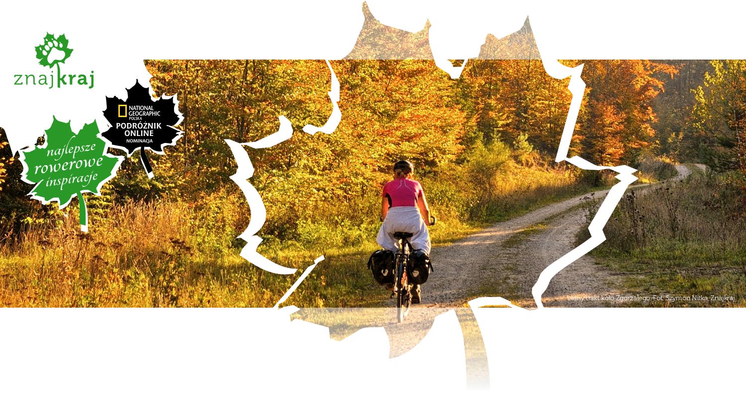 Leśny trakt koło Zgorzałego