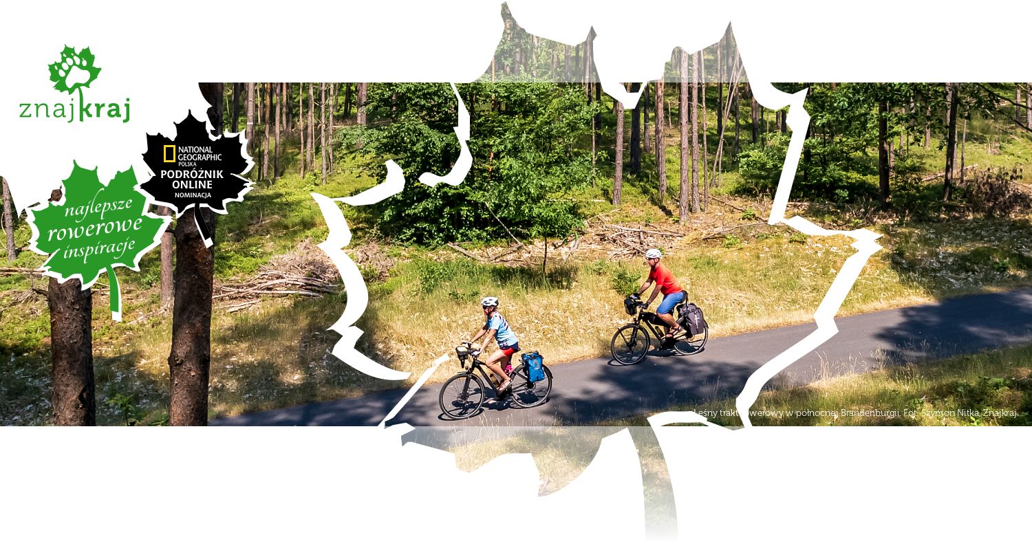 Leśny trakt rowerowy w północnej Brandenburgii