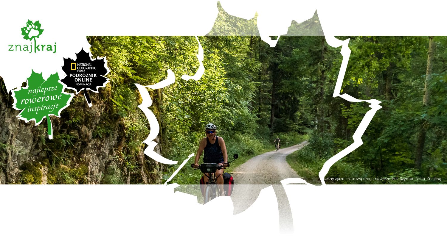 Leśny zjazd szutrową drogą na Jurze