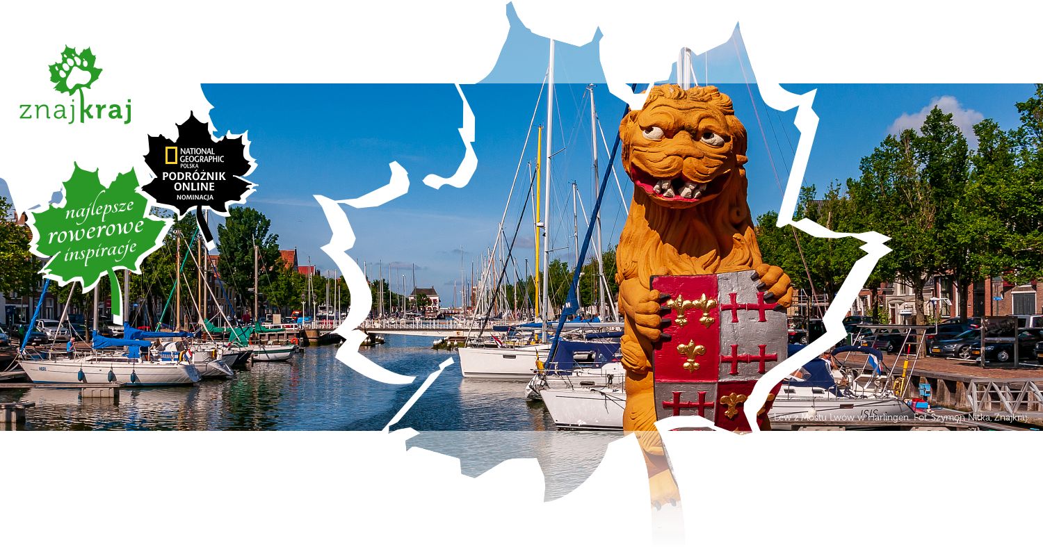 Lew z Mostu Lwów w Harlingen