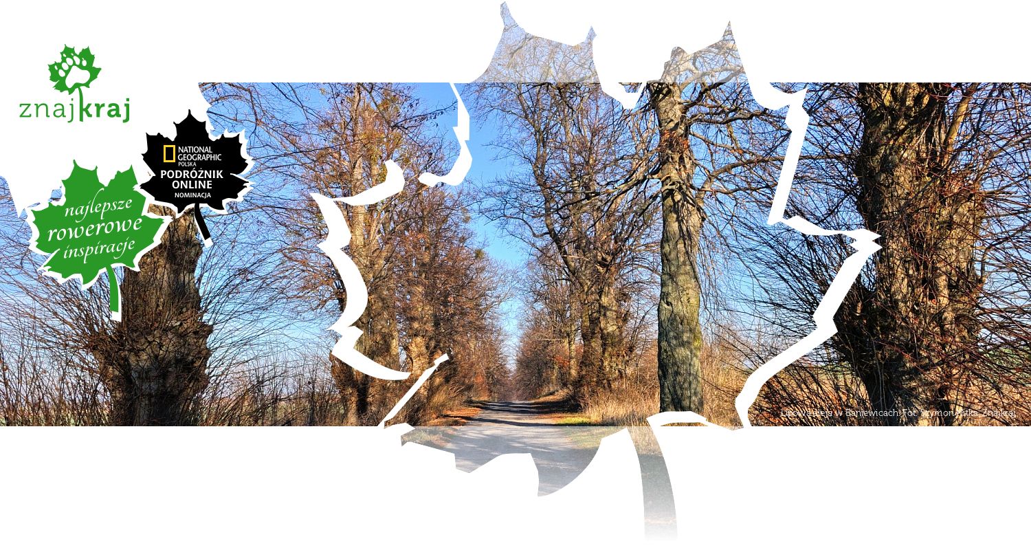 Lipowa aleja w Baniewicach