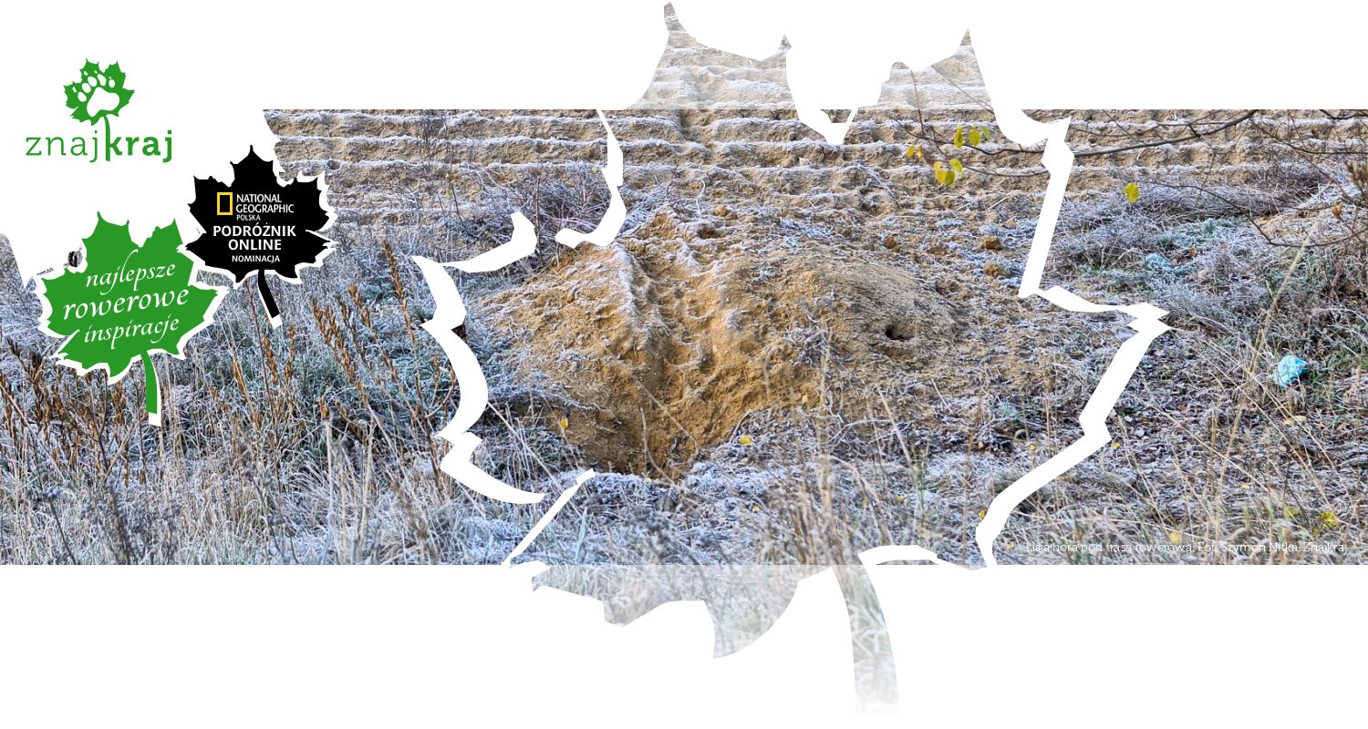 Lisia nora pod trasą rowerową