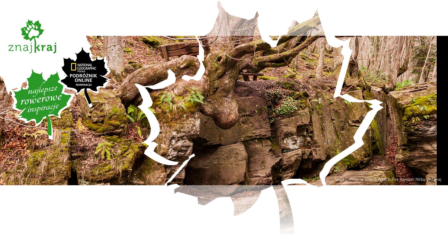 Łoś z Zawoju w Sinych Wirach