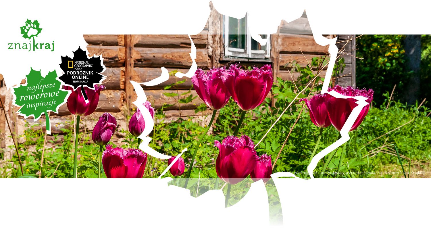 Łotwa w miniaturze - piękne kwiaty przed starą chatą