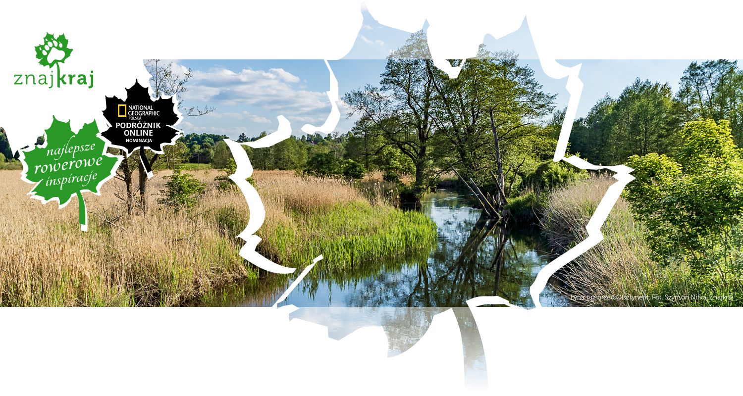 Łyna tuż przed Olsztynem