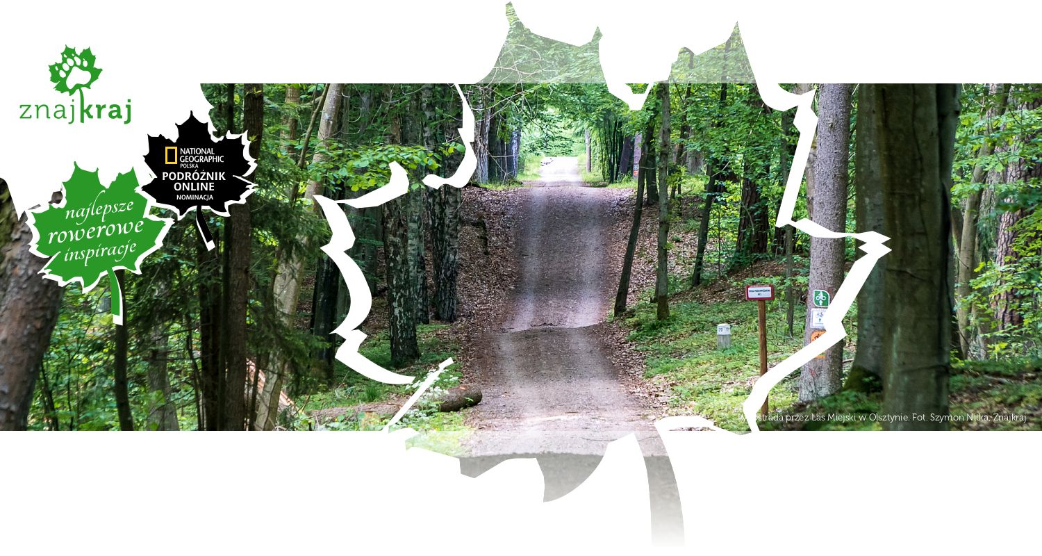 Łynostrada przez Las Miejski w Olsztynie