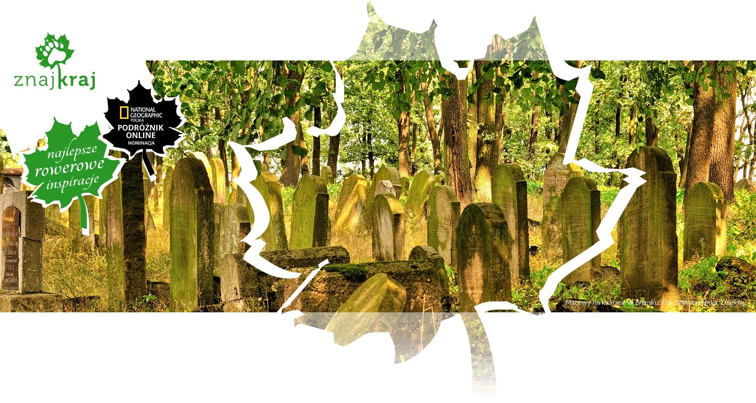 Macewy na kirkucie w Brzesku