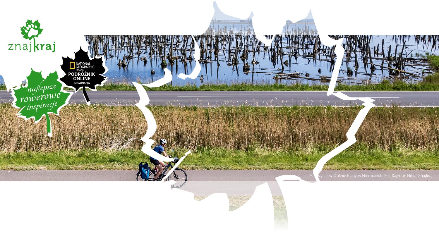 Martwy las w Dolinie Piany w Niemczech