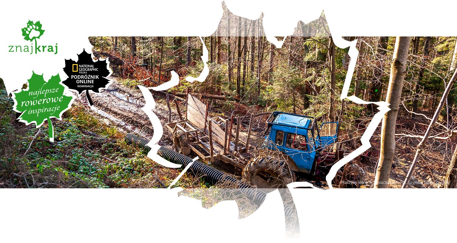Maszyny leśne w Bieszczadach