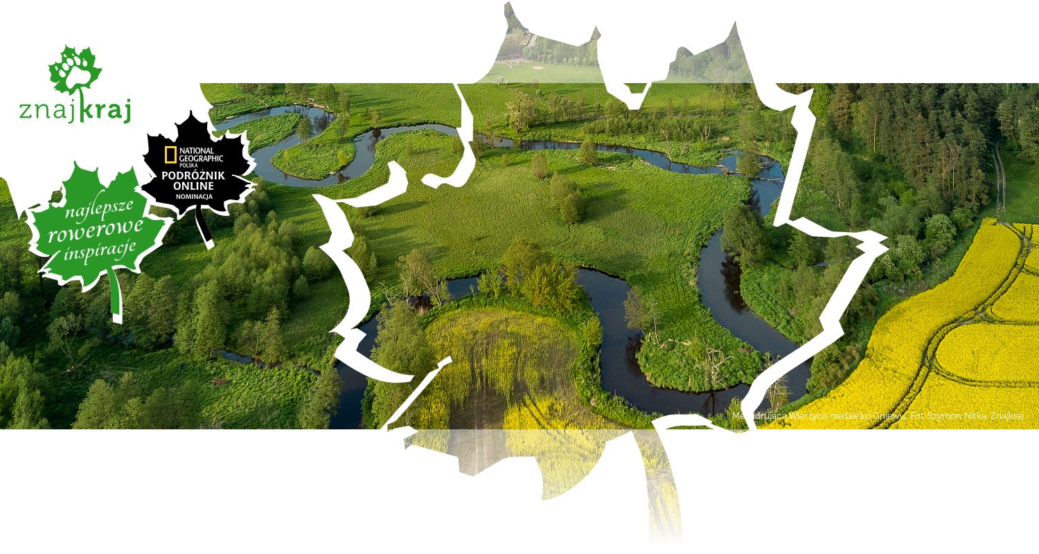 Meandrująca Wierzyca niedaleko Gniewu