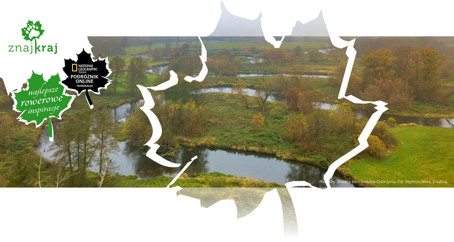 Meandry Drwęcy koło Golubia-Dobrzynia