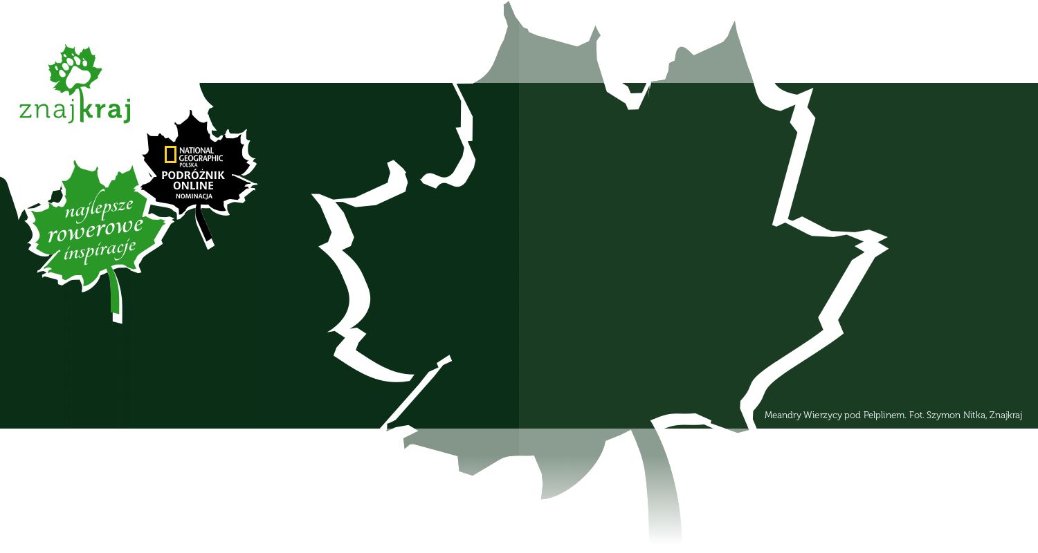 Meandry Wierzycy pod Pelplinem