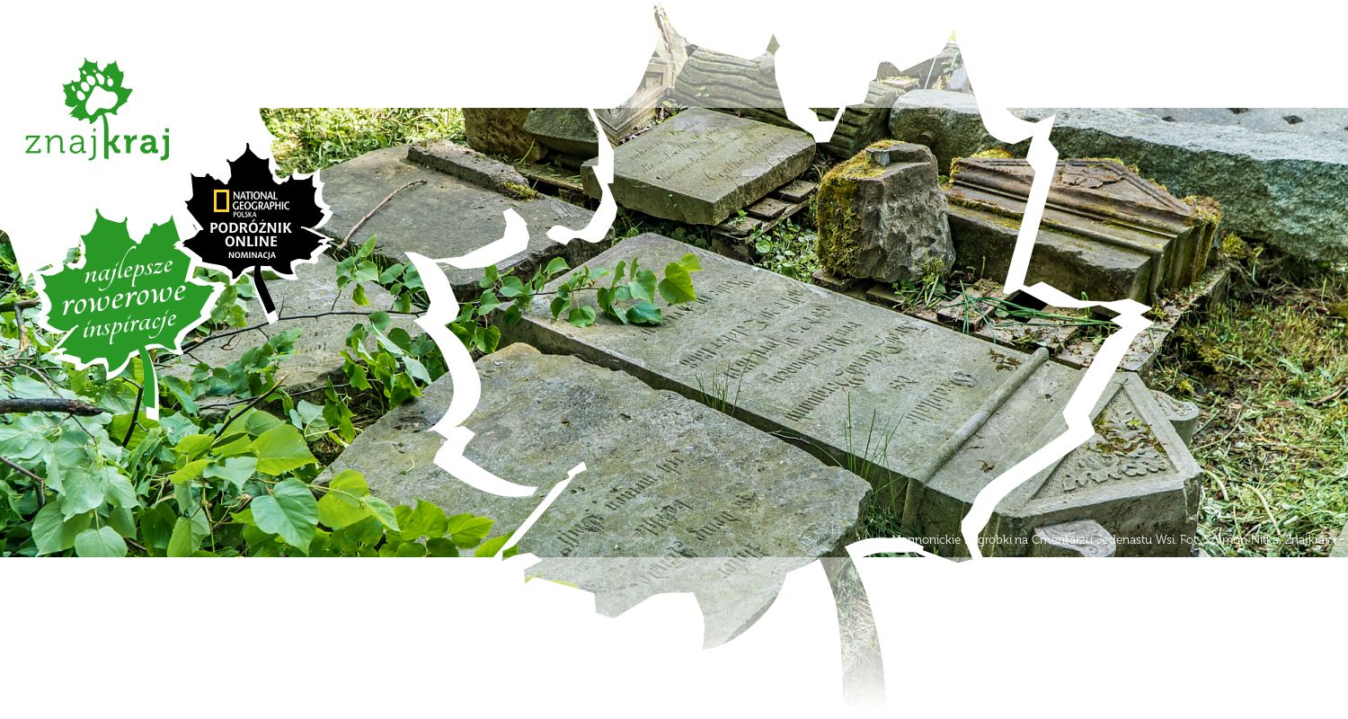 Mennonickie nagrobki na Cmentarzu Jedenastu Wsi