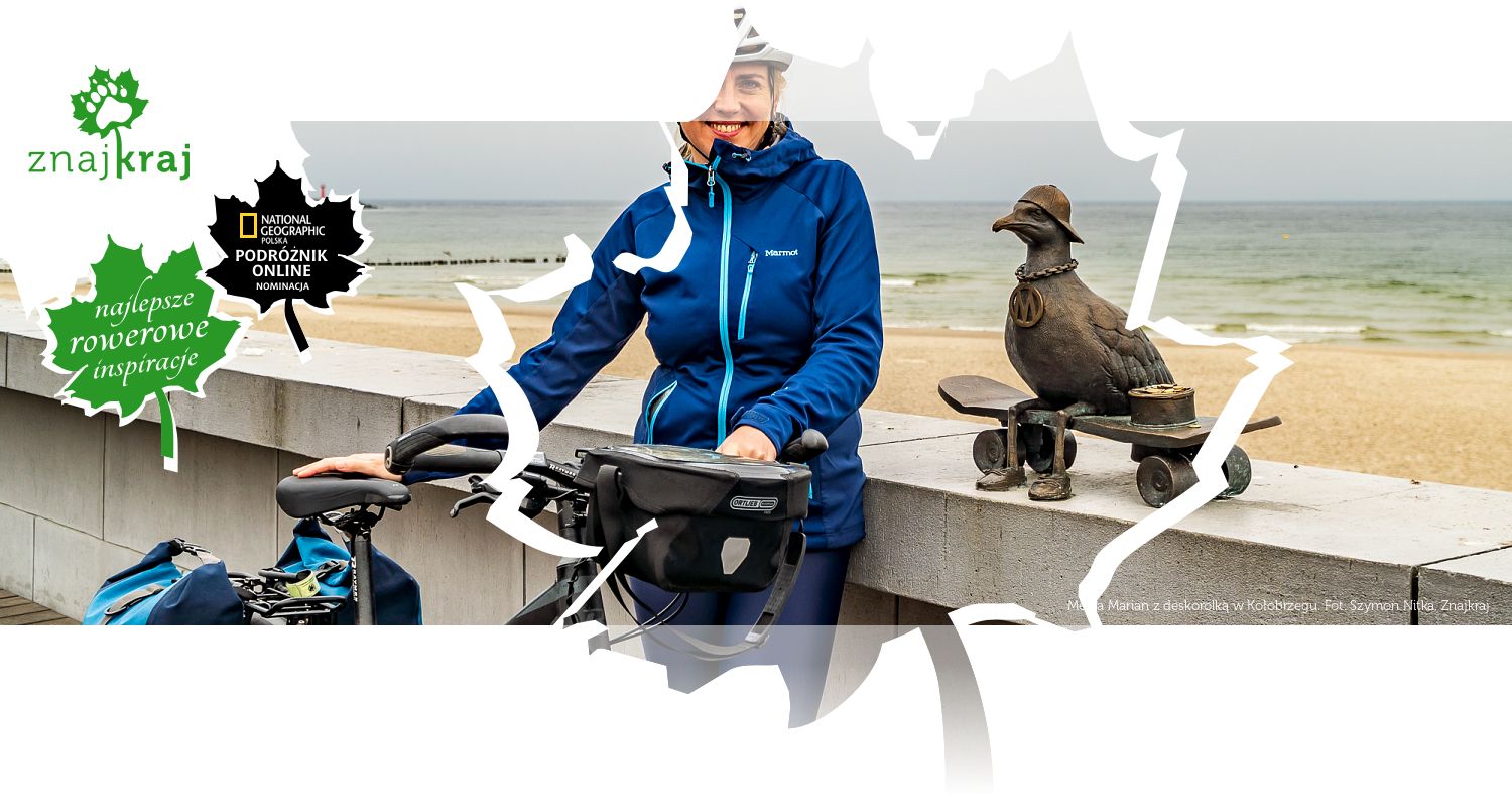 Mewa Marian z deskorolką w Kołobrzegu