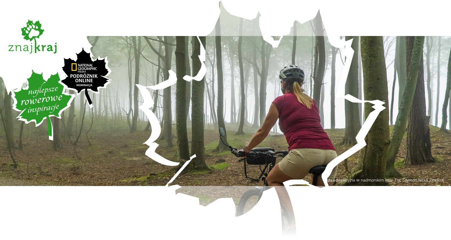 Mgła adwekcyjna w nadmorskim lesie