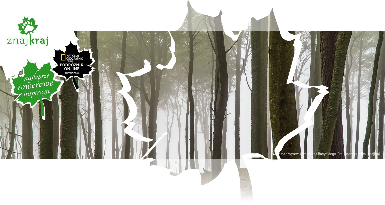 Mgła nad wybrzeżem Morza Bałtyckiego