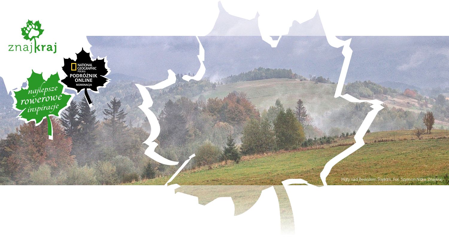 Mgły nad Beskidem Śląskim