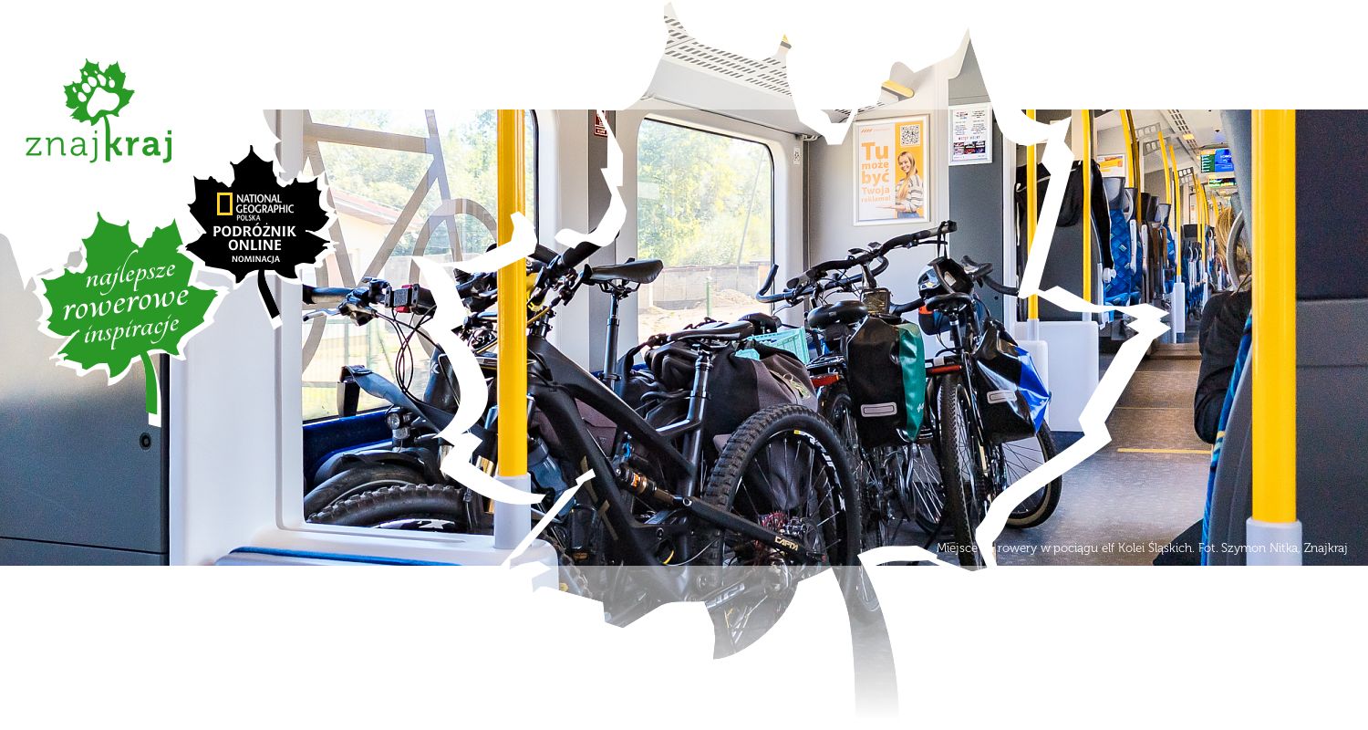 Miejsce na rowery w pociągu elf Kolei Śląskich