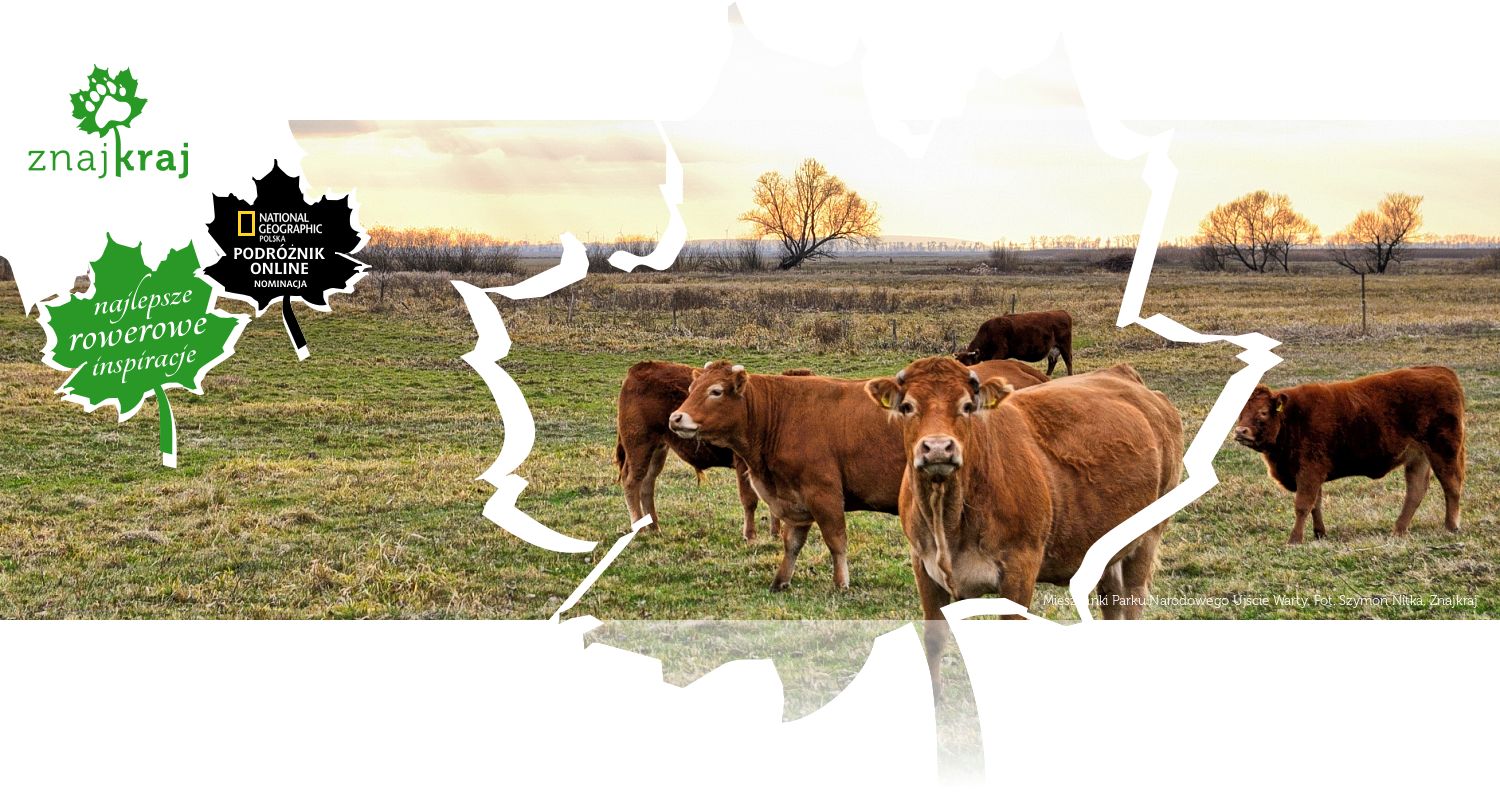 Mieszkanki Parku Narodowego Ujście Warty