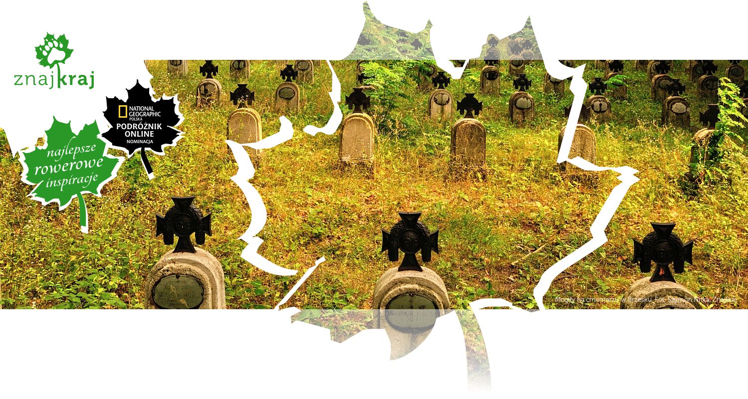 Mogiły na cmentarzu w Brzesku