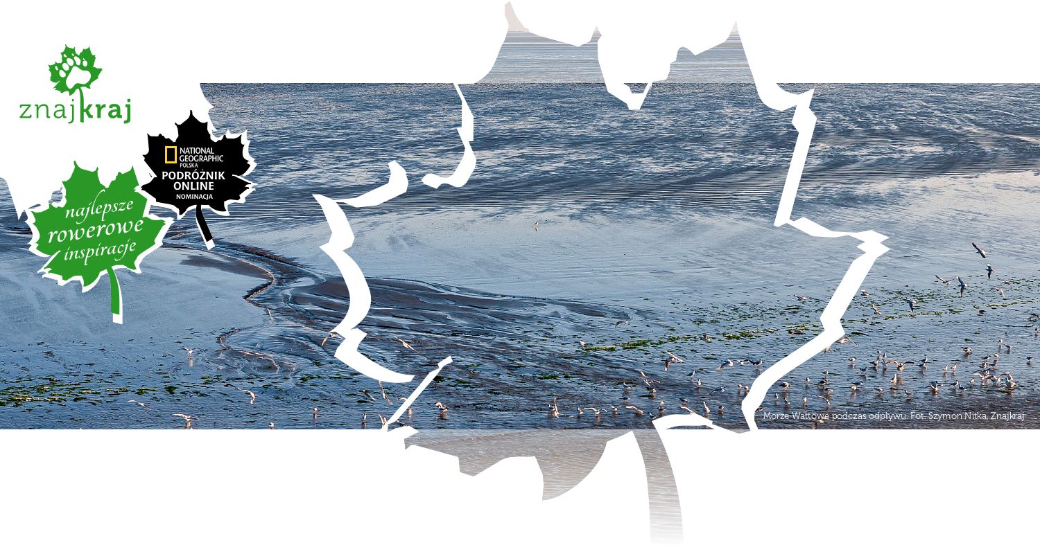 Morze Wattowe podczas odpływu