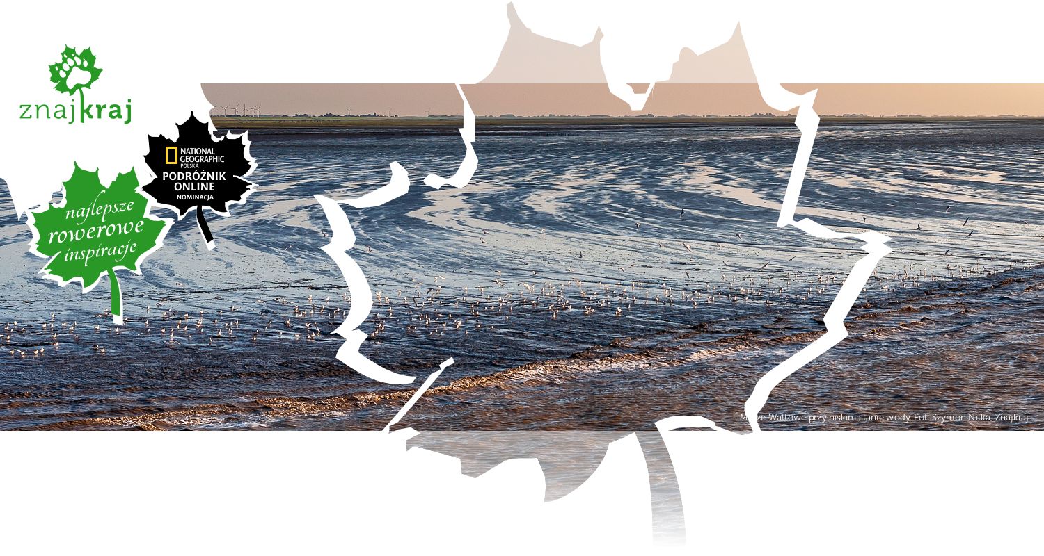 Morze Wattowe przy niskim stanie wody