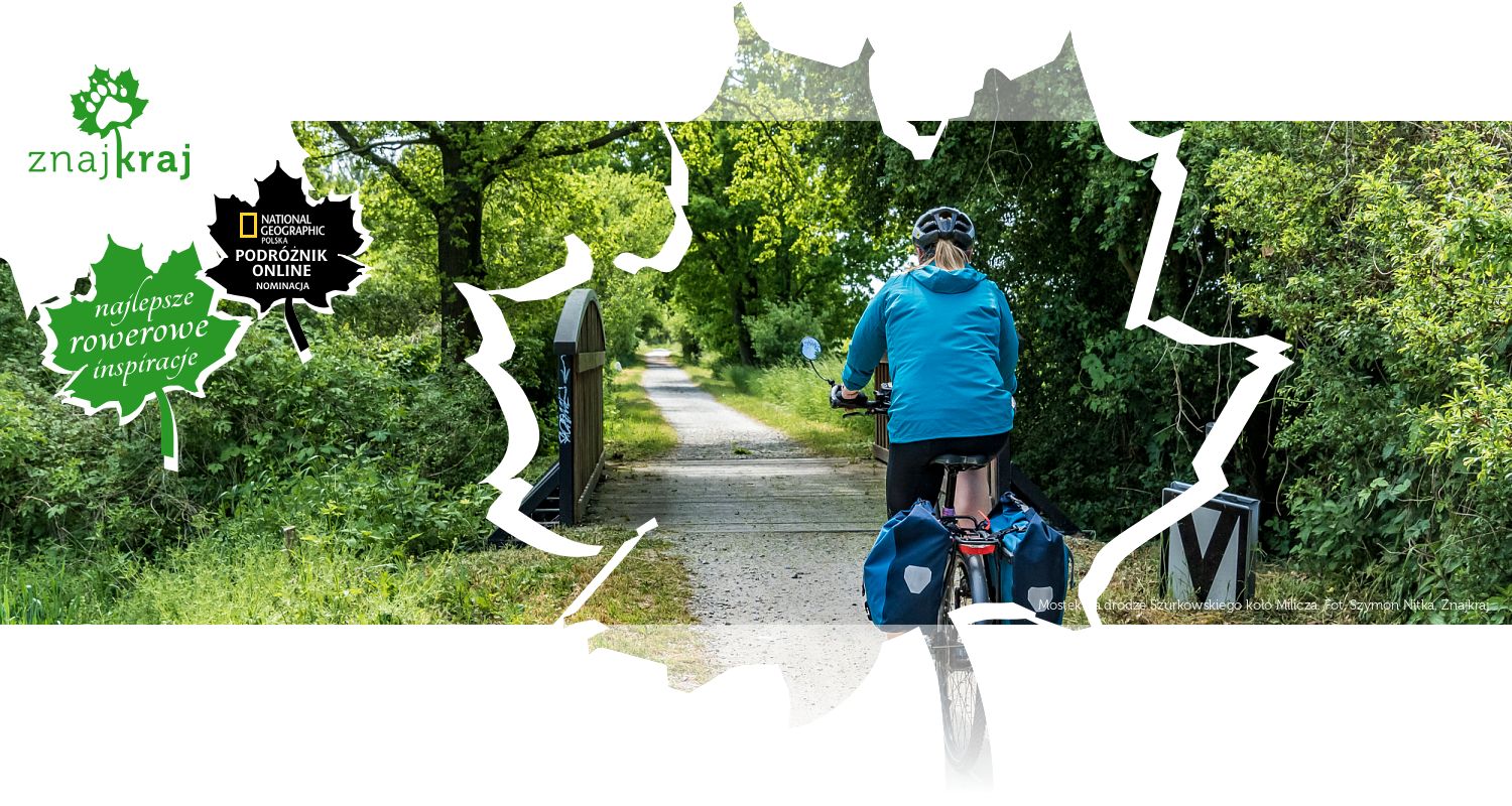 Mostek na drodze Szurkowskiego koło Milicza