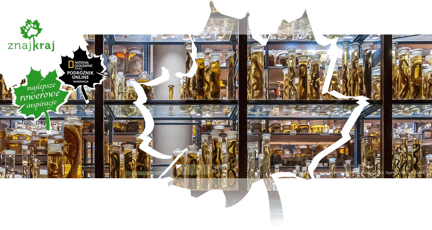 Muzeum Historii Naturalnej w Berlinie - Mokra Kolekcja