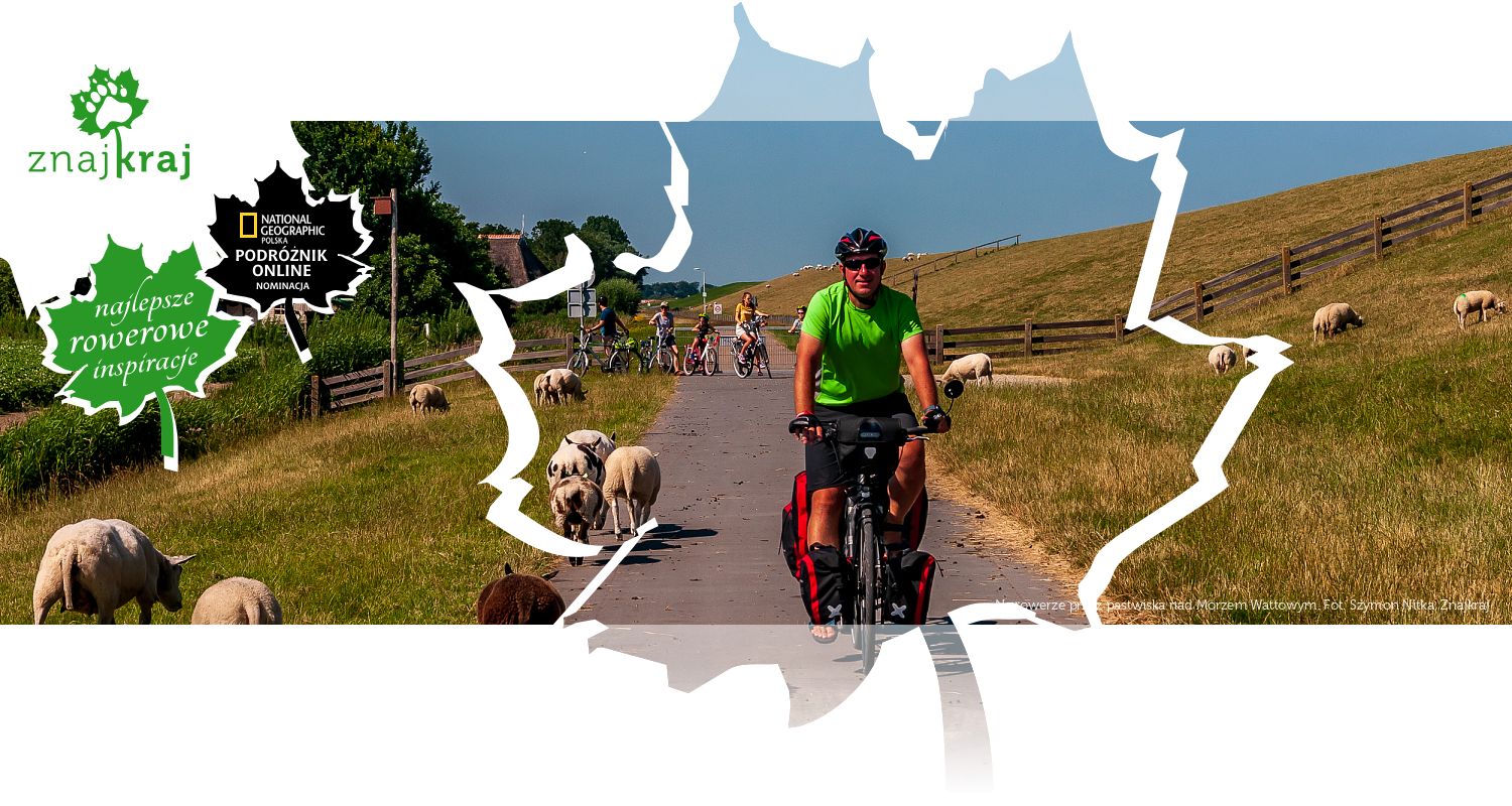 Na rowerze przez pastwiska nad Morzem Wattowym