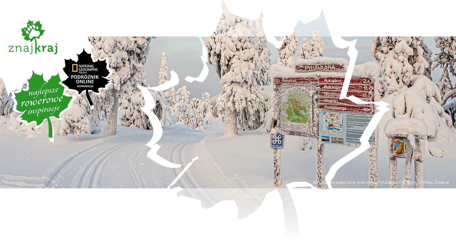 Na szczycie wzgórza w rezerwacie Pyhävaara