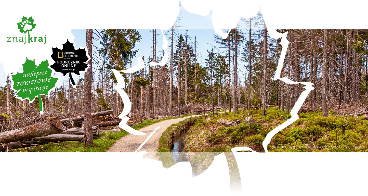 Na szlaku turystycznym w Harzu