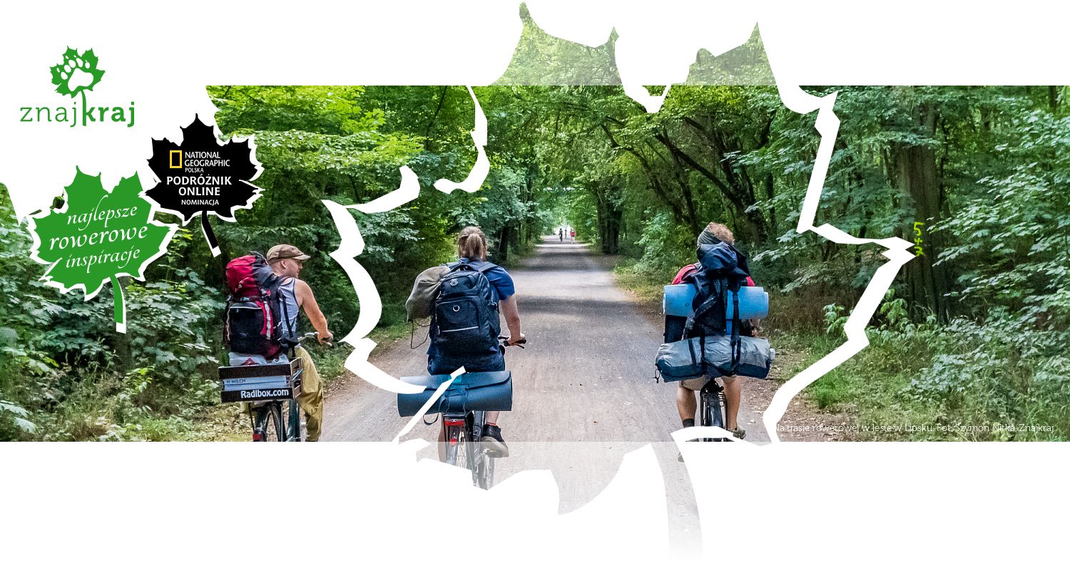 Na trasie rowerowej w lesie w Lipsku