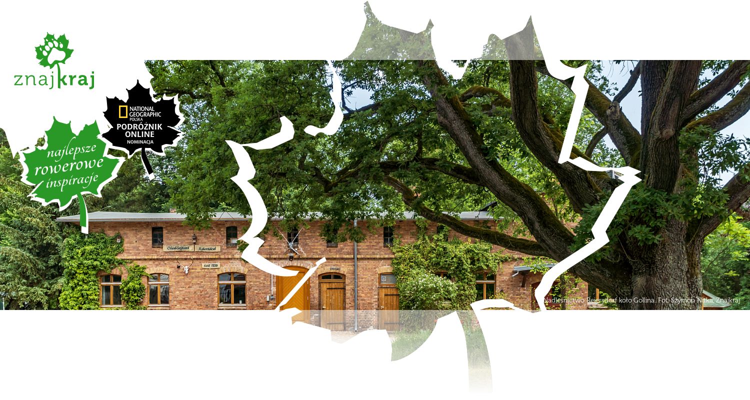 Nadleśnictwo Reiersdorf koło Gollina