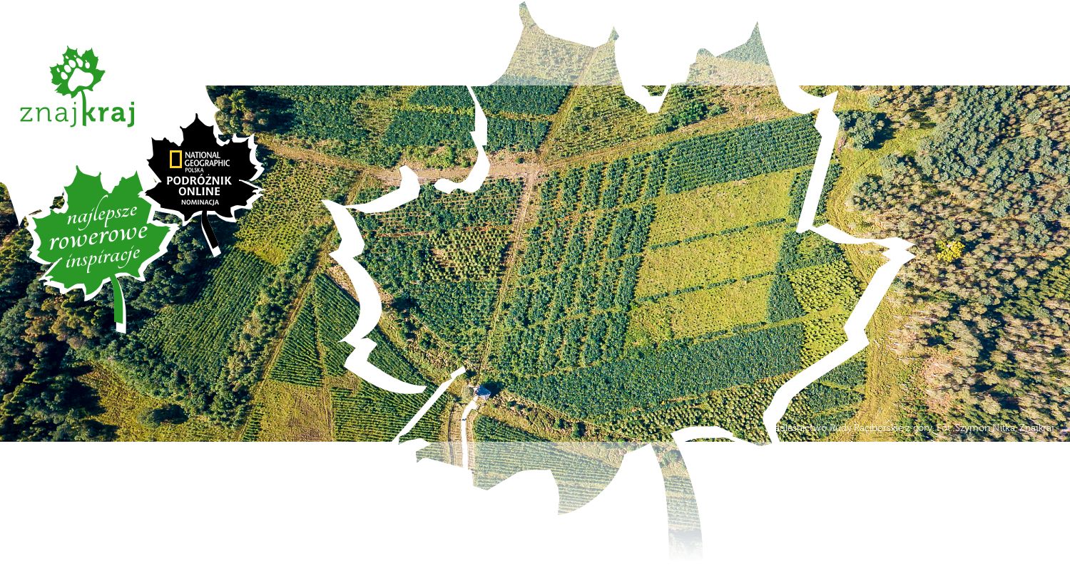 Nadleśnictwo Rudy Raciborskie z góry