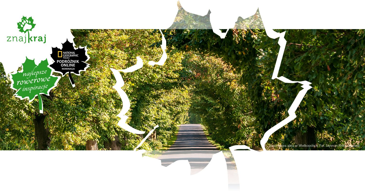 Nastrojowa aleja w Wielkopolsce