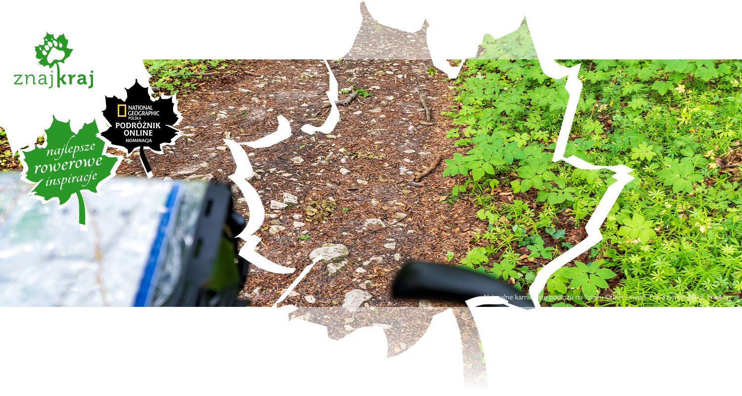 Naturalne kamieniste podłoże na Szlaku Orlich Gniazd