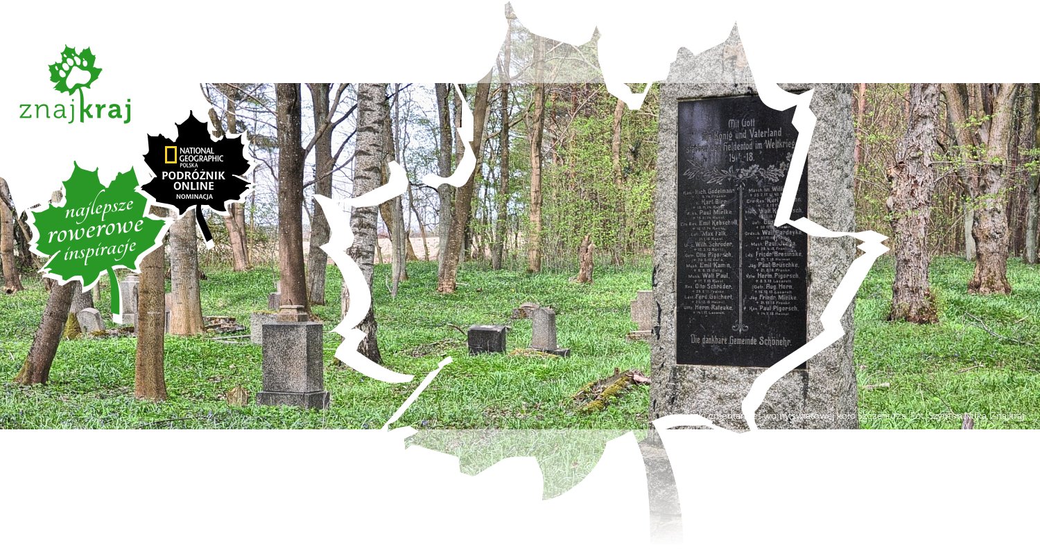 Niemiecki cmentarz z I wojny światowej koło Szczenurza
