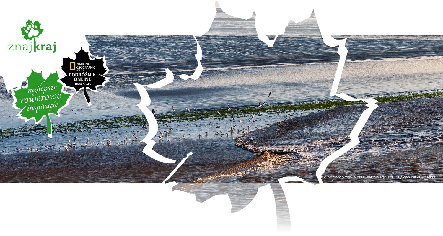 Niski poziom wody Morza Wattowego