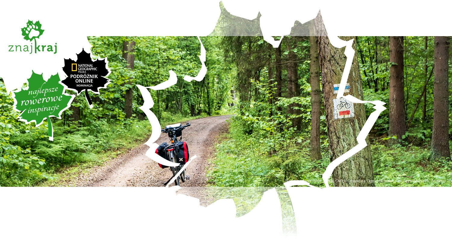 Nowa nawierzchnia Szlaku Orlich Gniazd za Ogrodzieńcem