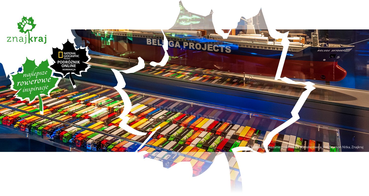 Obrazowe pokazanie pojemności kontenerowca