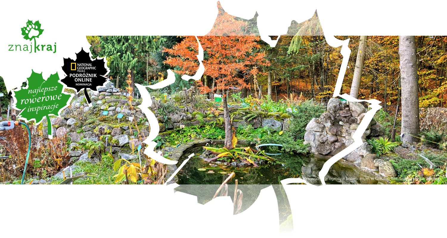Oczko wodne w ogrodzie botanicznym w Gołubiu