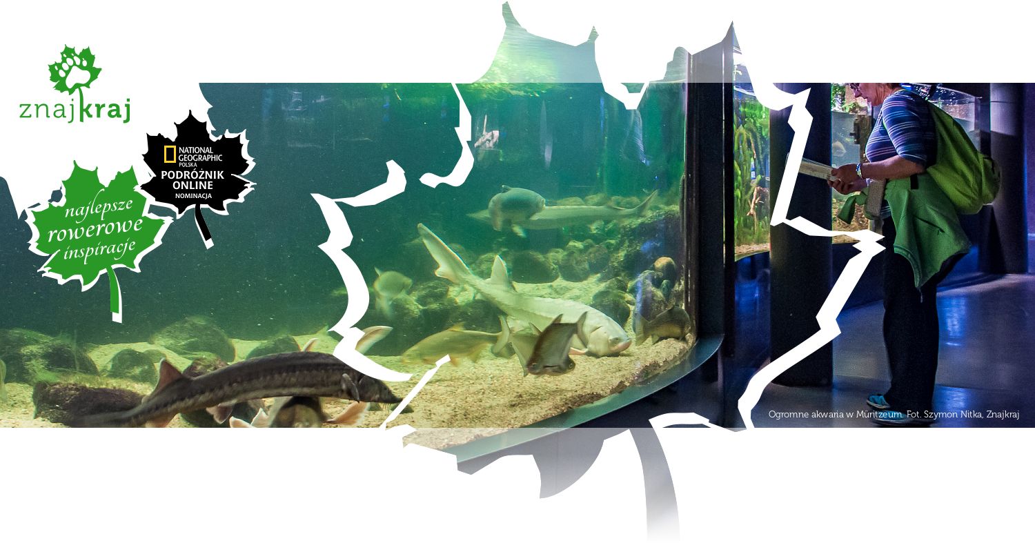 Ogromne akwaria w Müritzeum