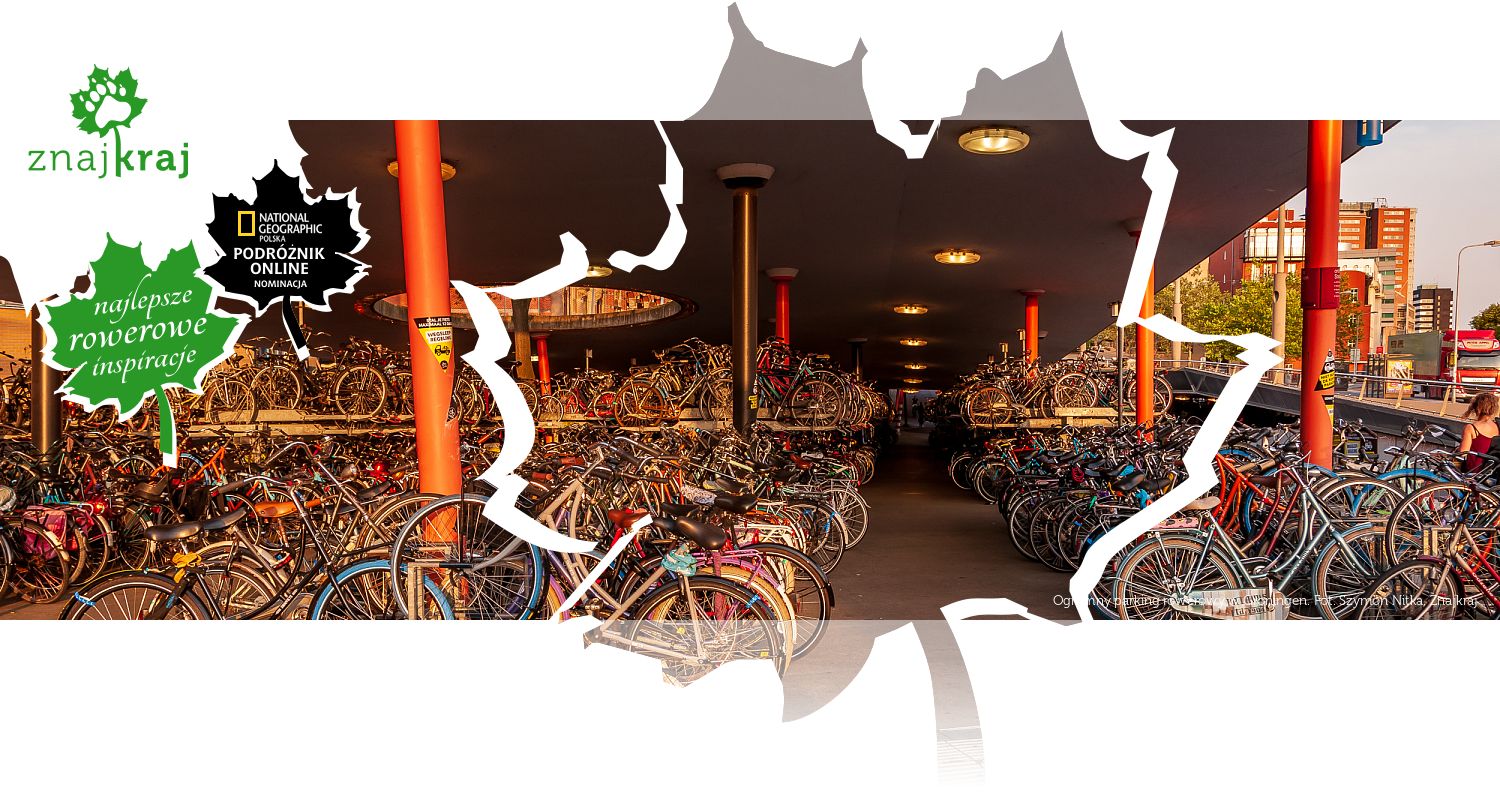 Ogromny parking rowerowy w Groningen